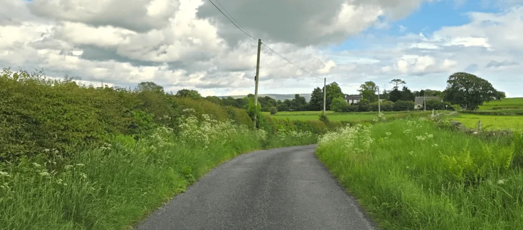 Grown up roads in Scotland